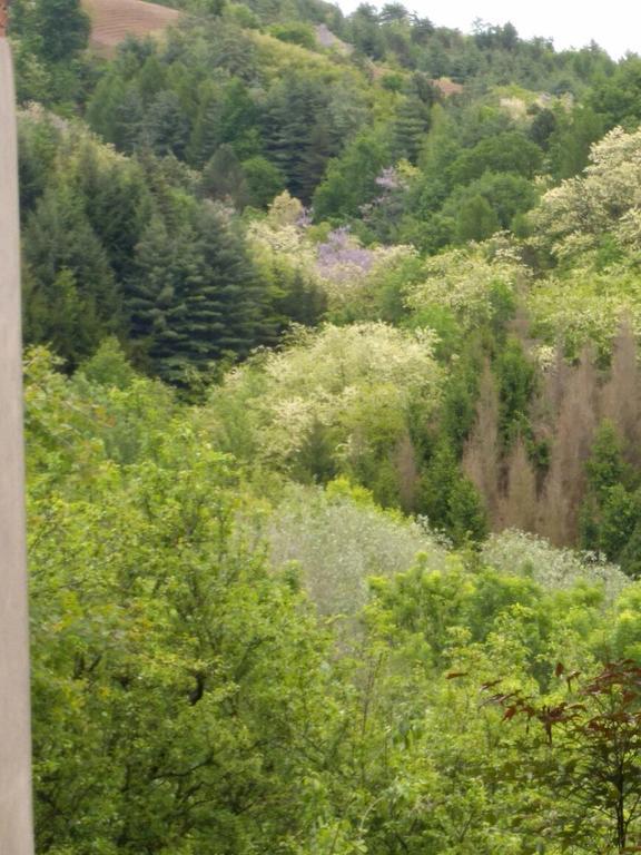 B&B Ca Dal Busc Sostegno Exteriör bild